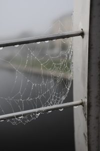 a spider web hanging from a metal railing